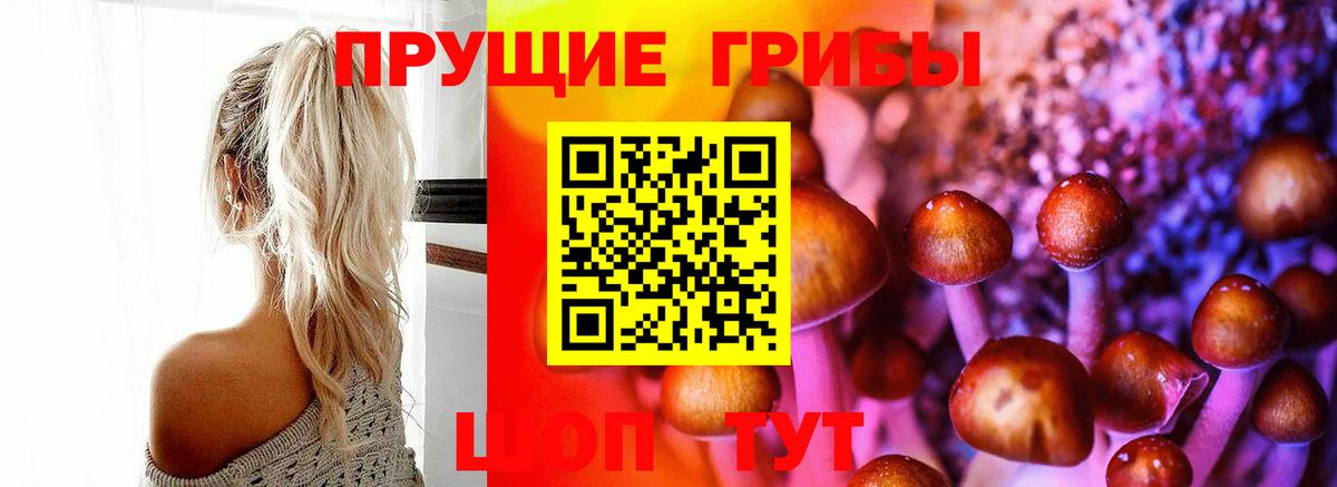 Галлюциногенные грибы Magic Shrooms Новокуйбышевск
